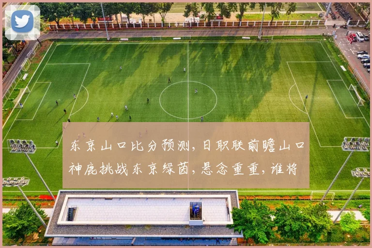 东京山口比分预测,日职联前瞻山口神鹿挑战东京绿茵,悬念重重,谁将问鼎